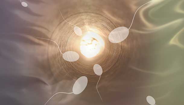 Artist-Rendering-of-Sperm-Cells-During-Sperm-Retrieval