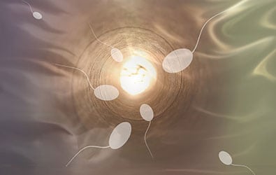 Sperm-Retrieval-UCI-Mens-Health