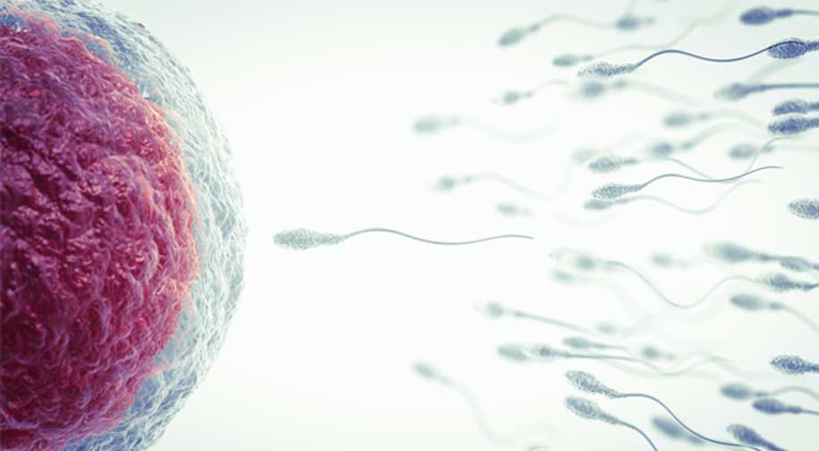 Male-Infertility-UCI-Mens-Health-1 Male-Infertility-UCI-Mens-Health-1